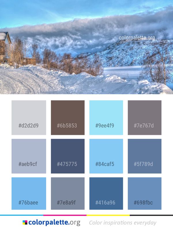 Winter Sky Snow Color Palette
