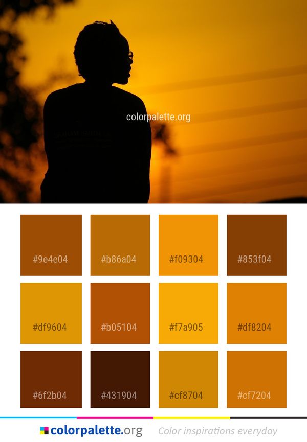 Yellow Sky Silhouette Color Palette