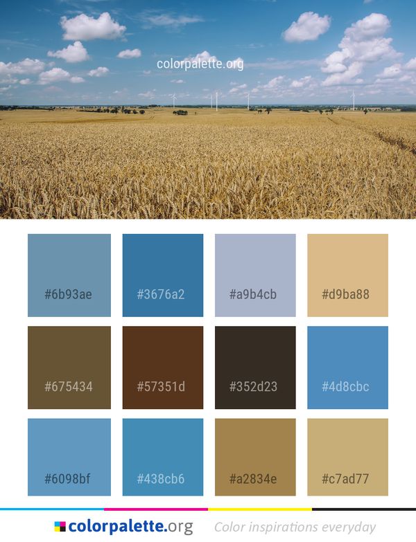 Field Sky Crop Color Palette