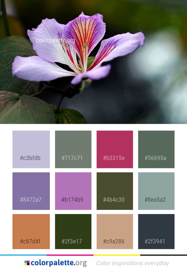 Flower Flora Plant Color Palette