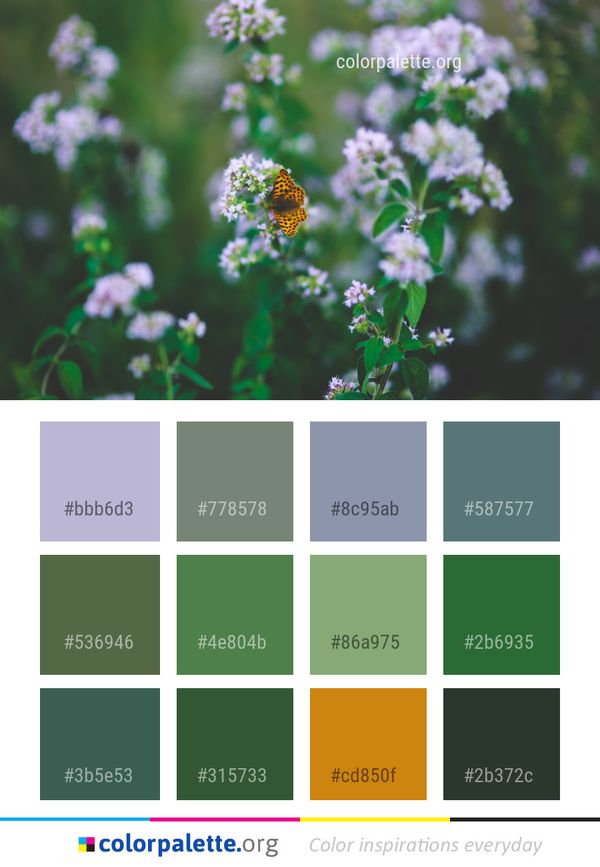 Flower Honey Bee Flora Color Palette