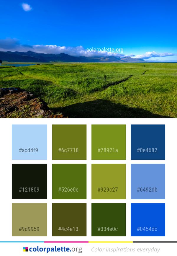 Grassland Sky Field Color Palette
