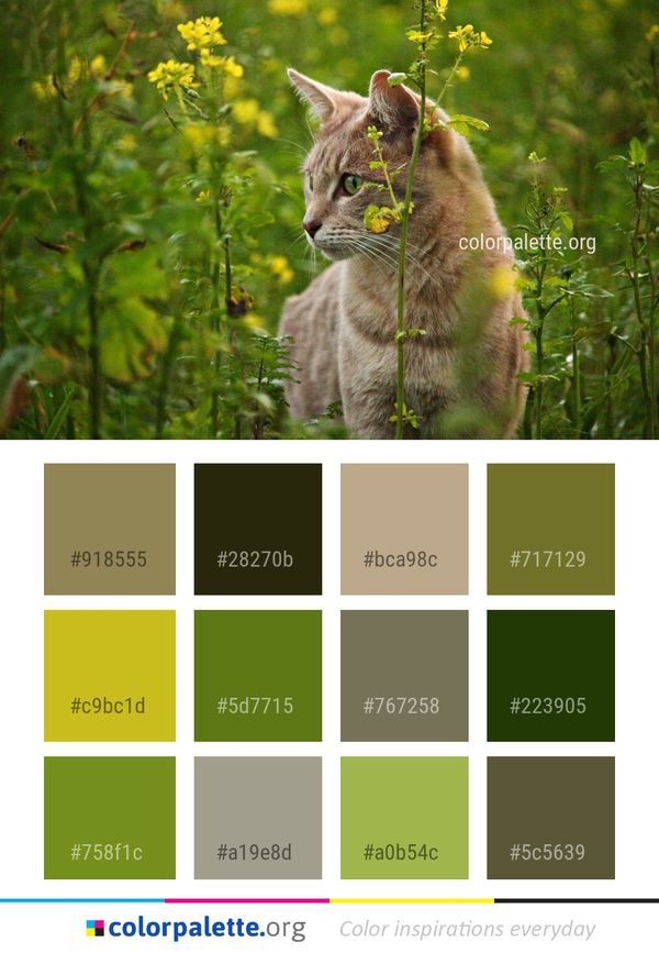 Green Wildlife Fauna Color Palette
