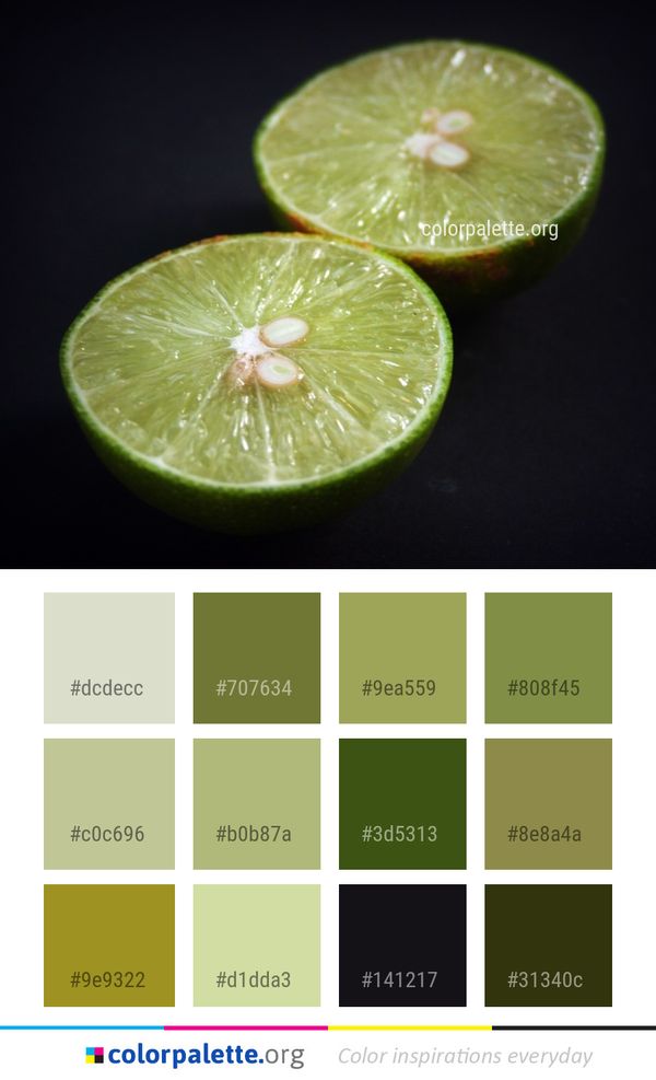 Lime Key Citrus Color Palette