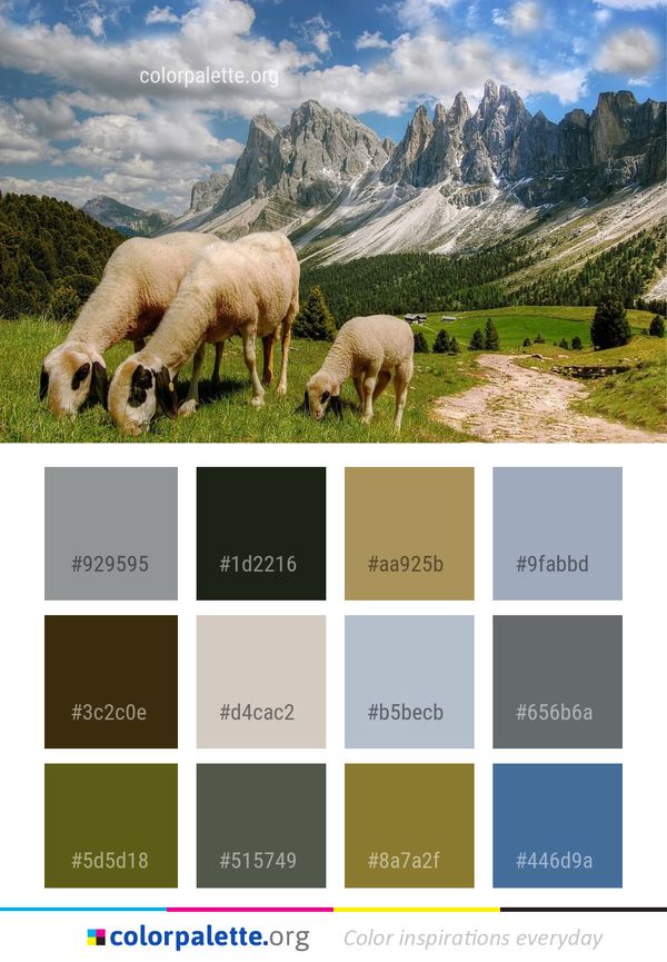 Mountainous Landforms Grassland Pasture Color Palette