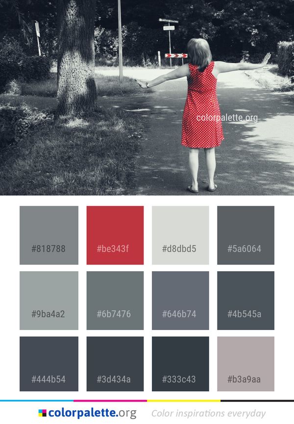 Red White Photograph Color Palette