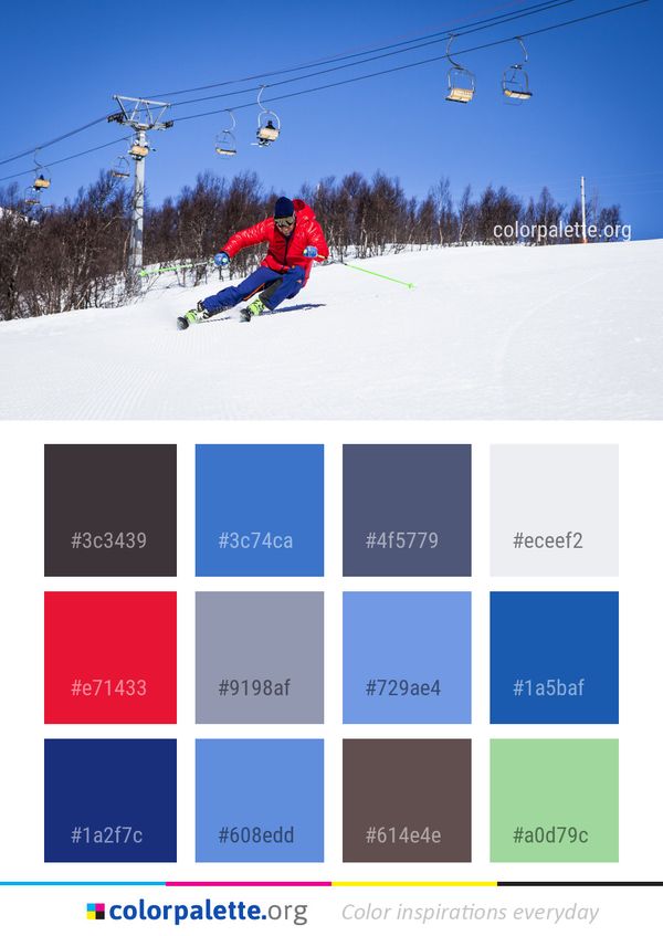 Ski Pole Piste Color Palette