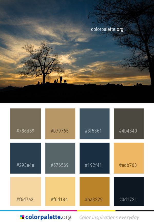 Sky Cloud Tree Color Palette