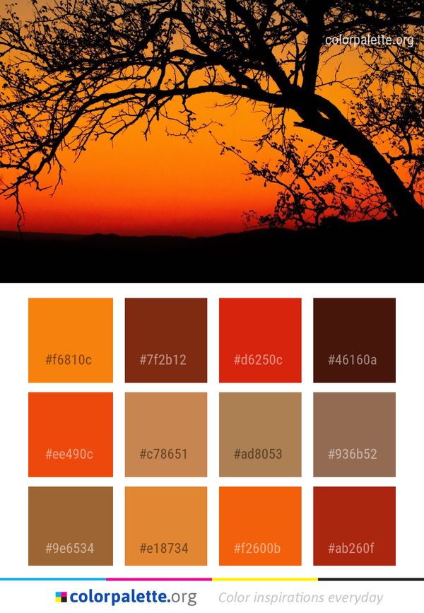 Sky Nature Branch Color Palette