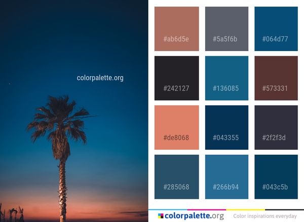 Sky Palm Tree Woody Plant Color Palette