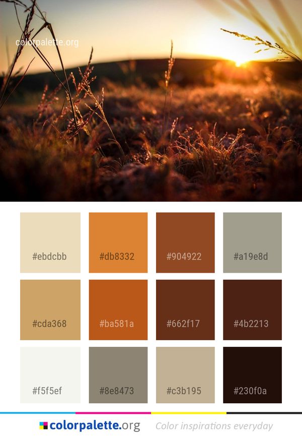 Sky Sun Sunlight Color Palette