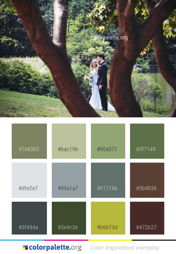 Tree Photograph Man Color Palette