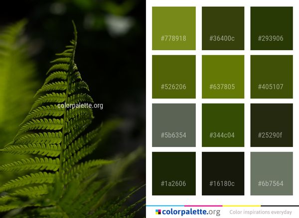 Vegetation Plant Leaf Color Palette