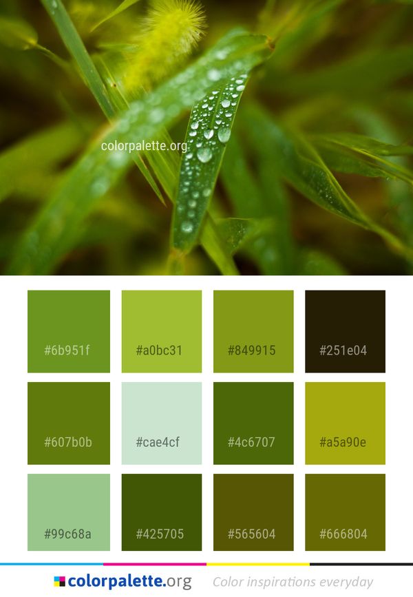 Water Leaf Moisture Color Palette