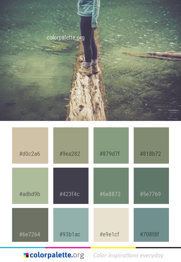Water Tree Reflection Color Palette
