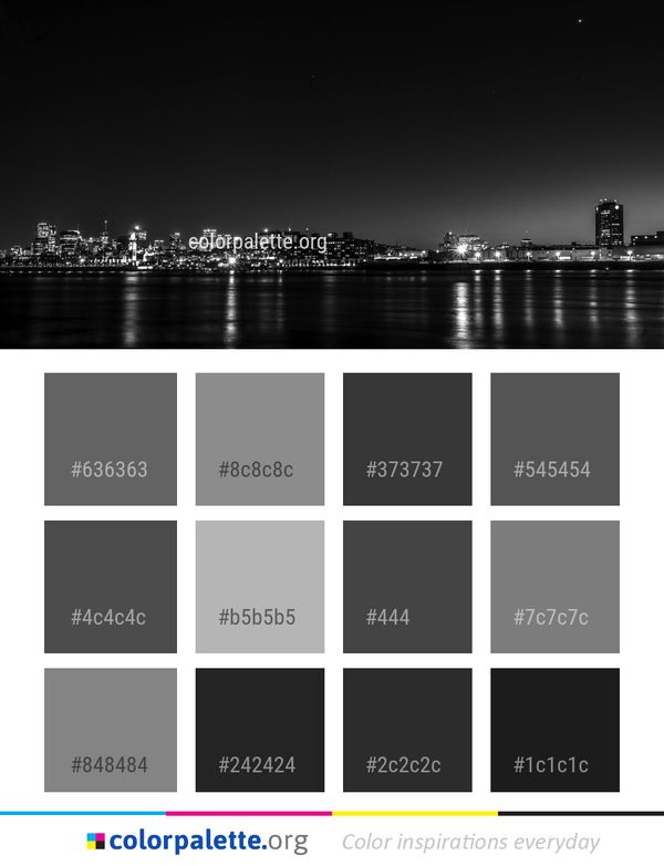 Cityscape Skyline Night Color Palette
