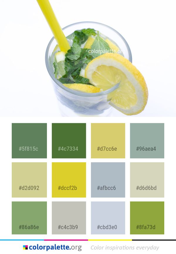 Drink Mojito Juice Color Palette