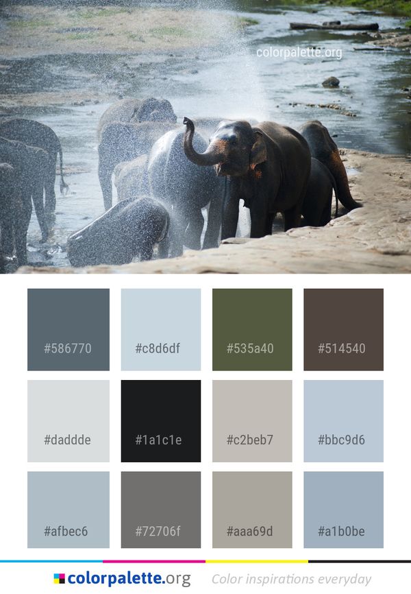 Elephants And Mammoths Elephant Indian Color Palette