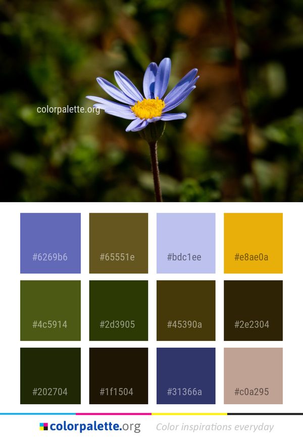 Flower Blue Flora Color Palette