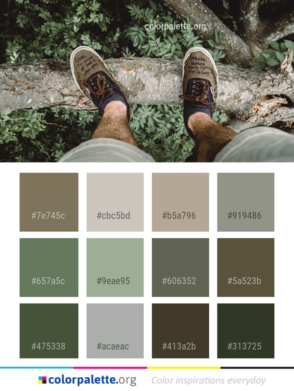 Footwear Shoe Grass Color Palette
