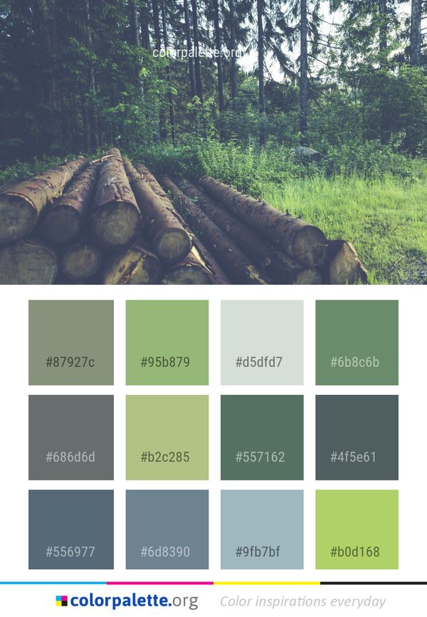 Forest Vegetation Tree Color Palette