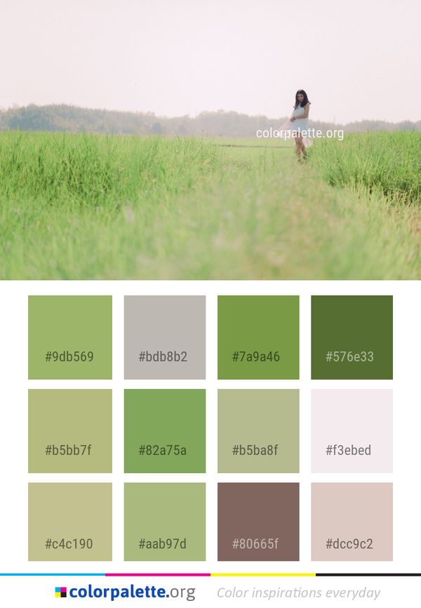 Grassland Grass Field Color Palette