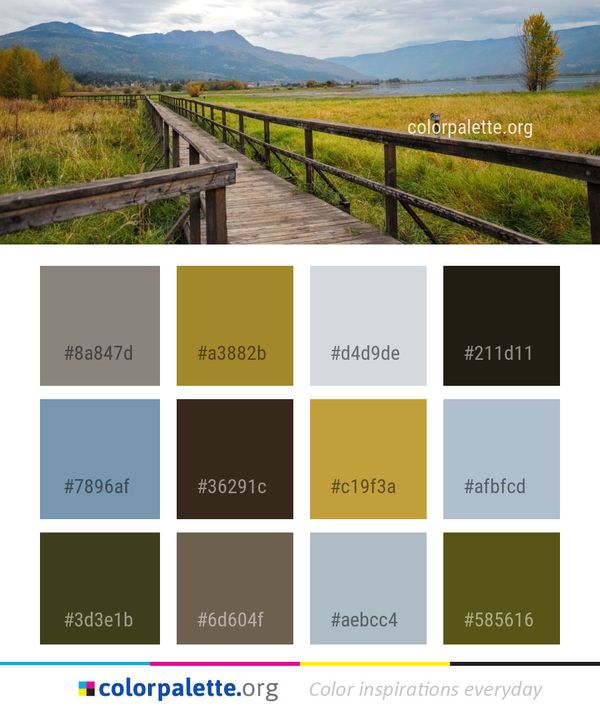 Nature Reserve Path Wilderness Color Palette