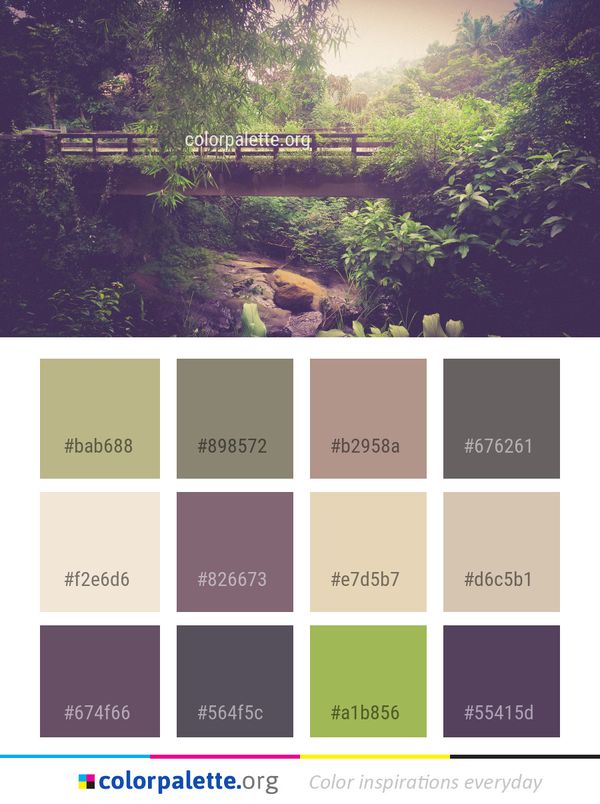 Nature Water Vegetation Color Palette