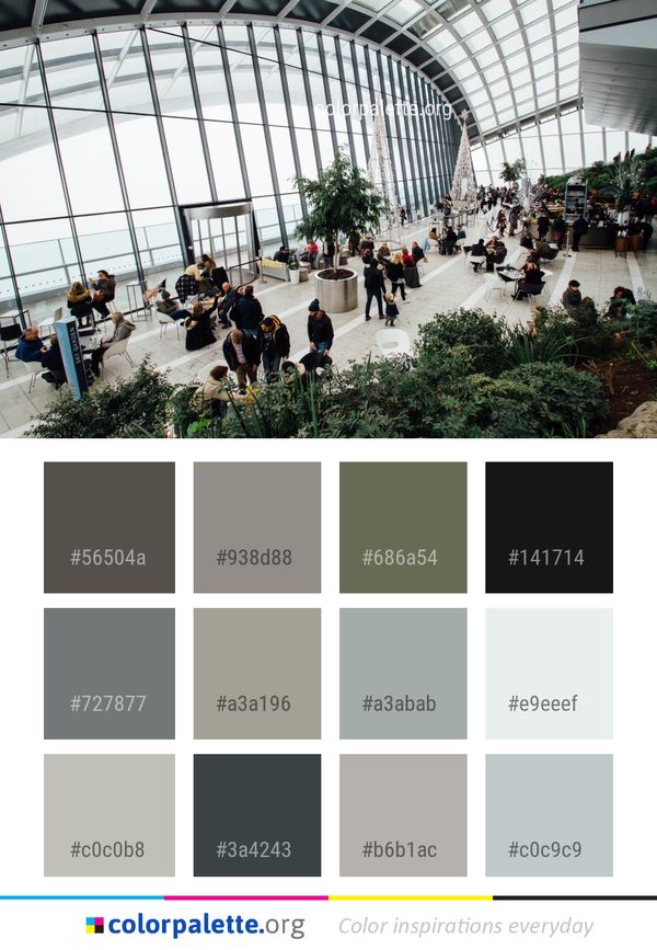 Plant Tree Building Color Palette
