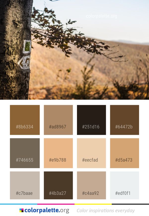 Sky Tree Landscape Color Palette