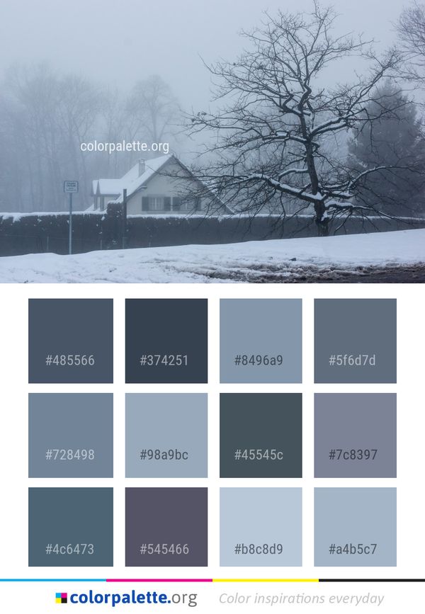Snow Winter Tree Color Palette