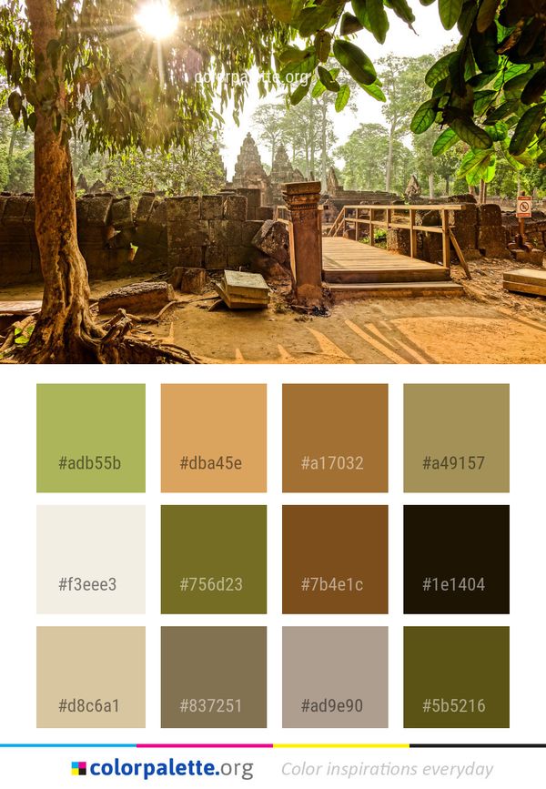 Tree Plant Arecales Color Palette
