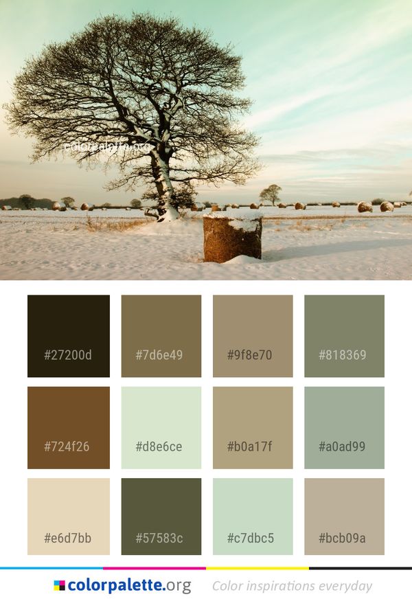 Tree Winter Snow Color Palette