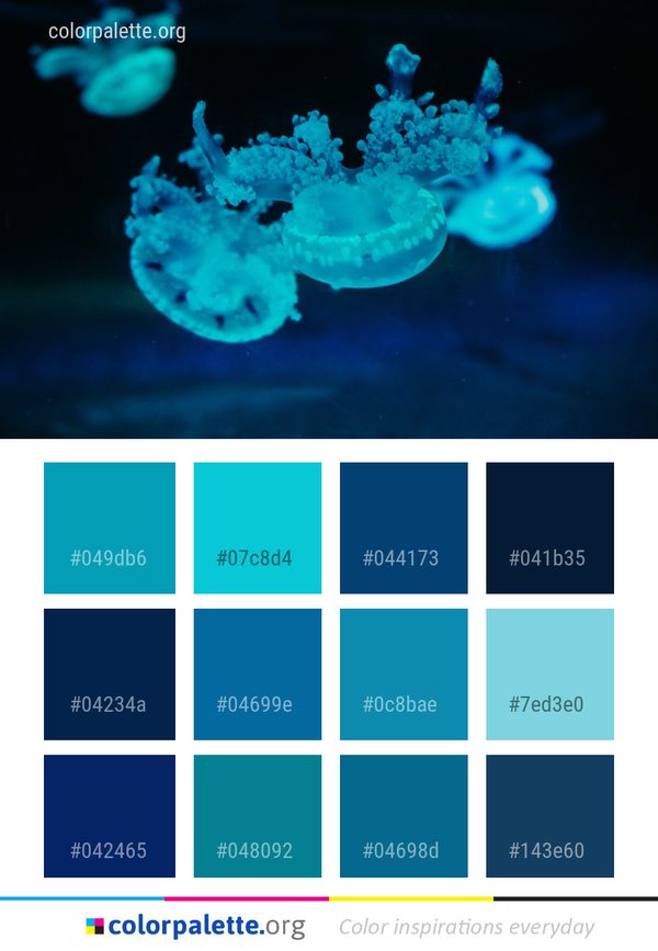 Cnidaria Blue Jellyfish Color Palette