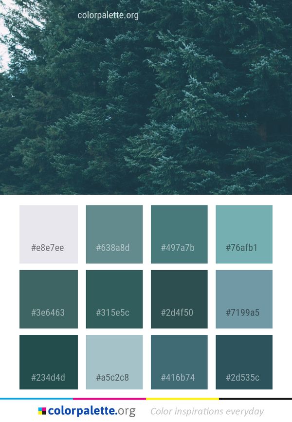 Ecosystem Vegetation Reef Color Palette