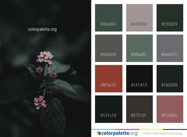 Flower Flora Plant Color Palette
