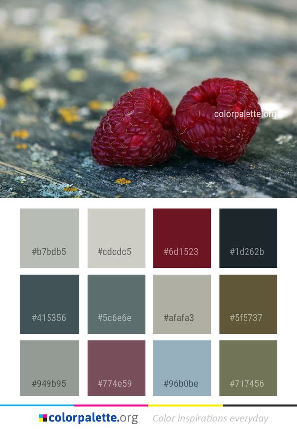 Fruit Berry Raspberry Color Palette