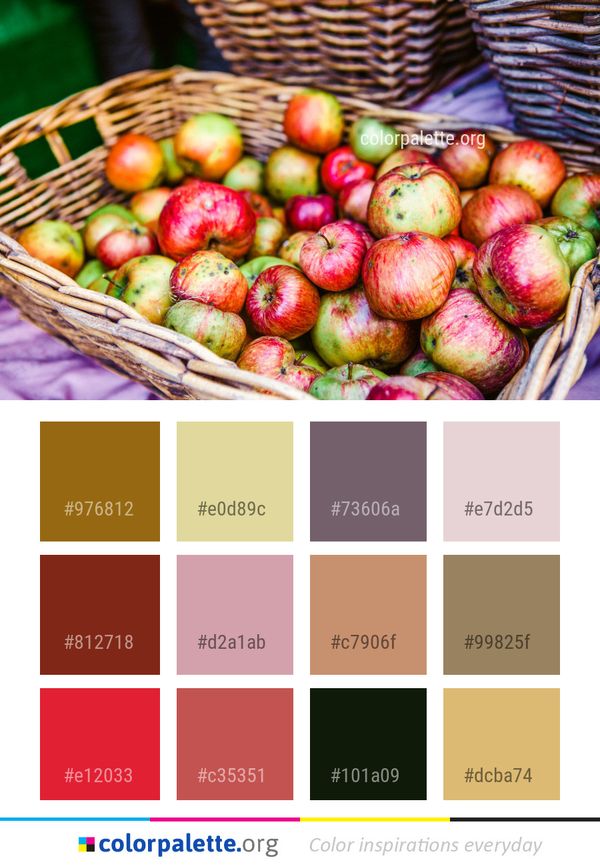 Natural Foods Local Food Fruit Color Palette