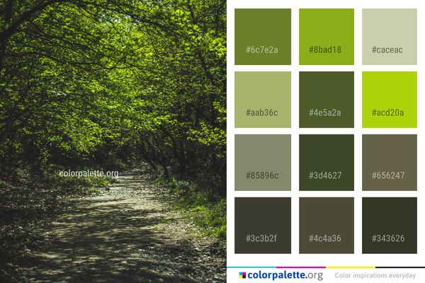Nature Vegetation Water Color Palette