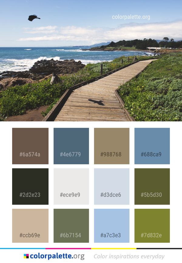 Sea Coast Sky Color Palette