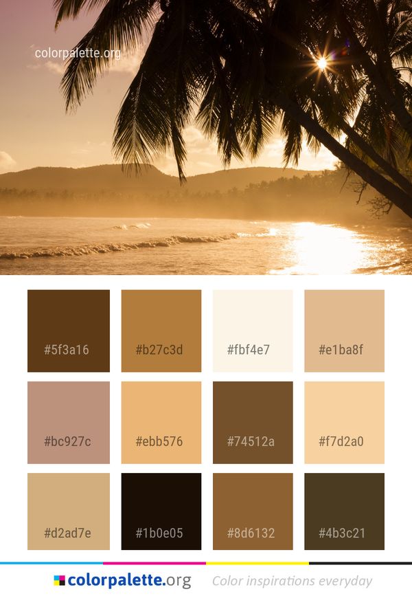 Sky Sea Palm Tree Color Palette