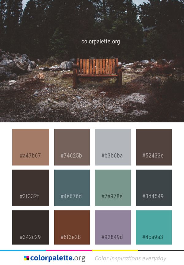Tree Landscape Wood Color Palette