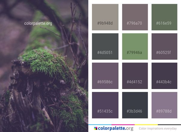 Vegetation Ecosystem Branch Color Palette