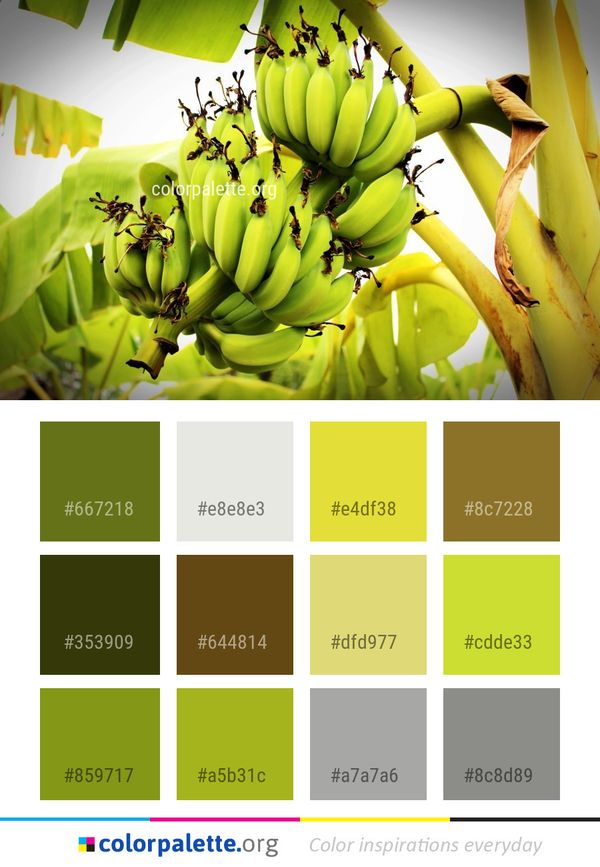 Banana Yellow Family Color Palette