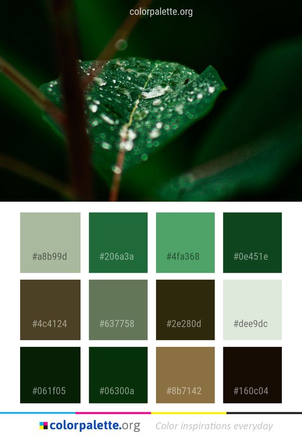 Dew Water Moisture Color Palette