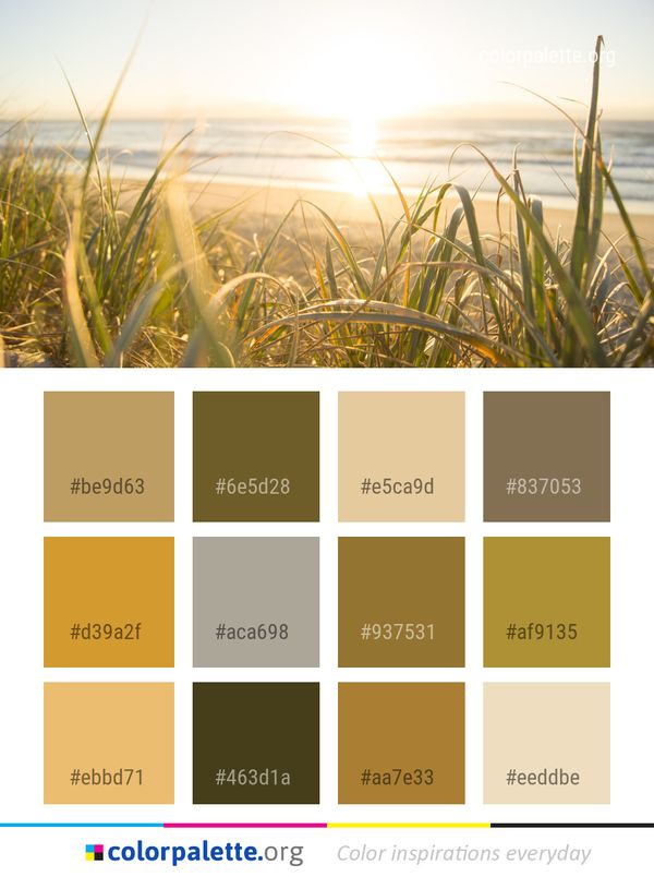 Ecosystem Grass Field Color Palette
