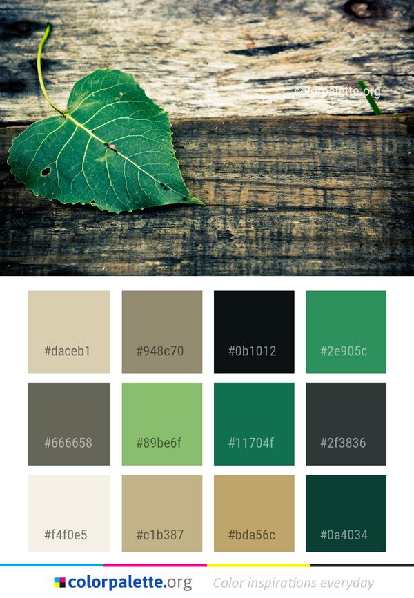 Leaf Green Water Color Palette