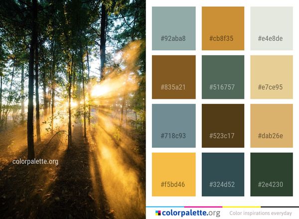 Nature Forest Path Color Palette