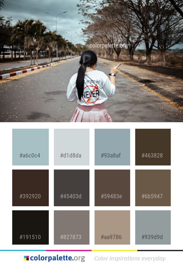 Photograph Road Tree Color Palette