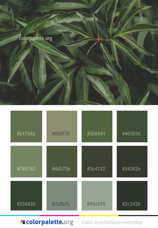 Plant Leaf Vegetation Color Palette
